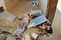 Israel,Terrorist,state,Attacks,to,Palestine (36)